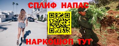 метадон Новодвинск