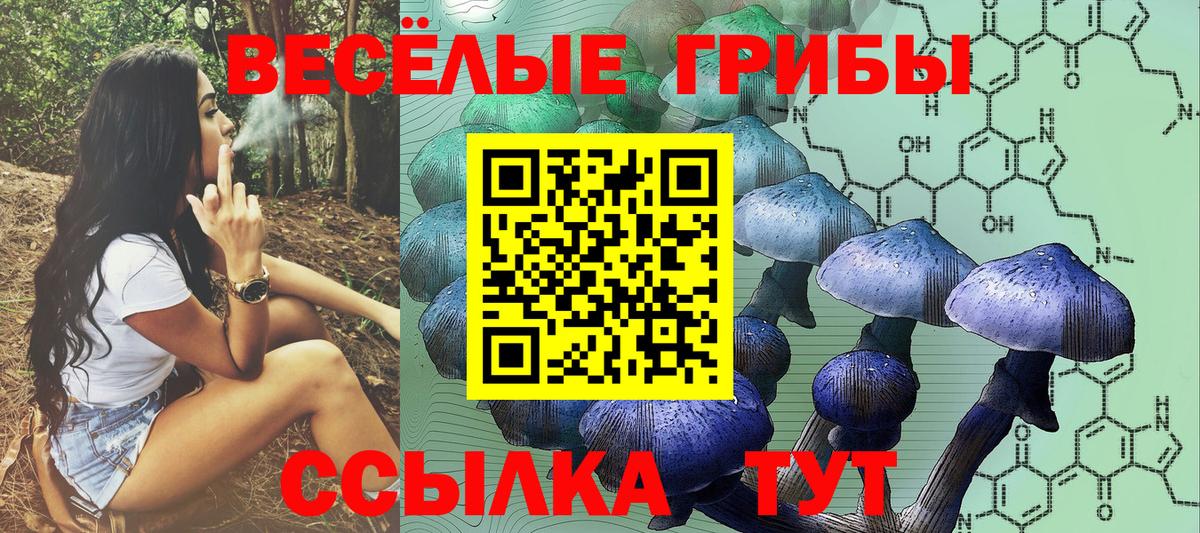 Псилоцибиновые грибы мицелий Советск