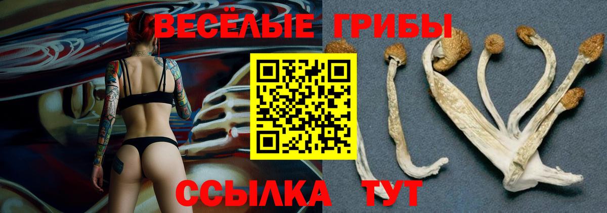 Псилоцибиновые грибы Psilocybine cubensis  Вход с VPN  Советск  Псилоцибиновые грибы Magic Shrooms 